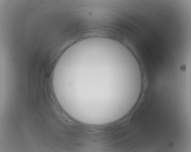 X0000114390305200910161038