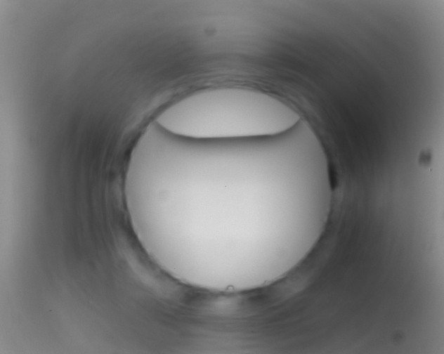X0000114390306200910161038