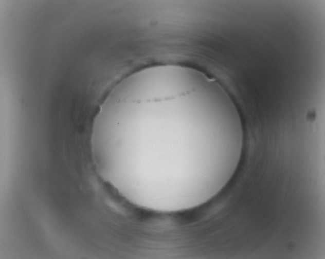 X0000114390307200910161038