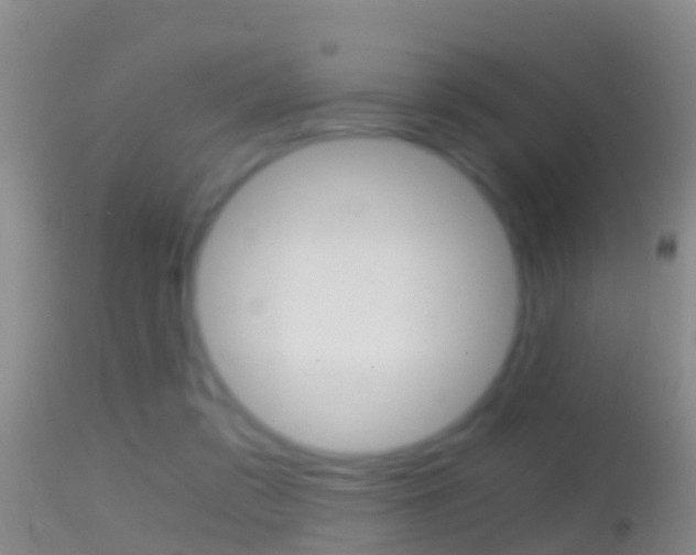 X0000114390309200910161038