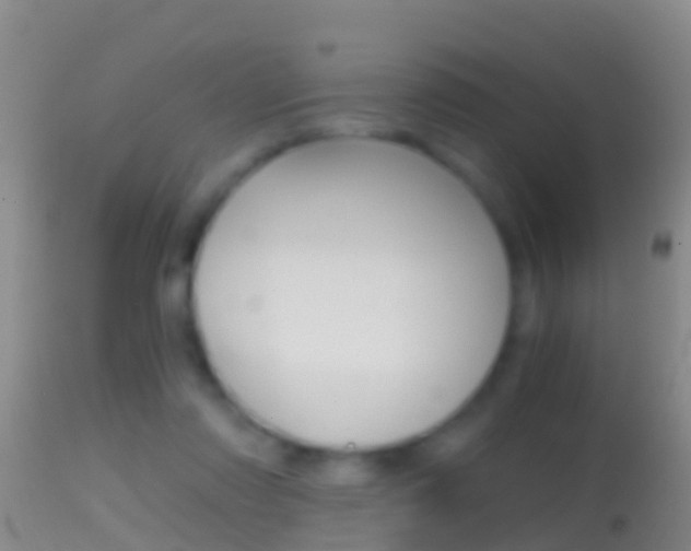 X0000114390310200910161038