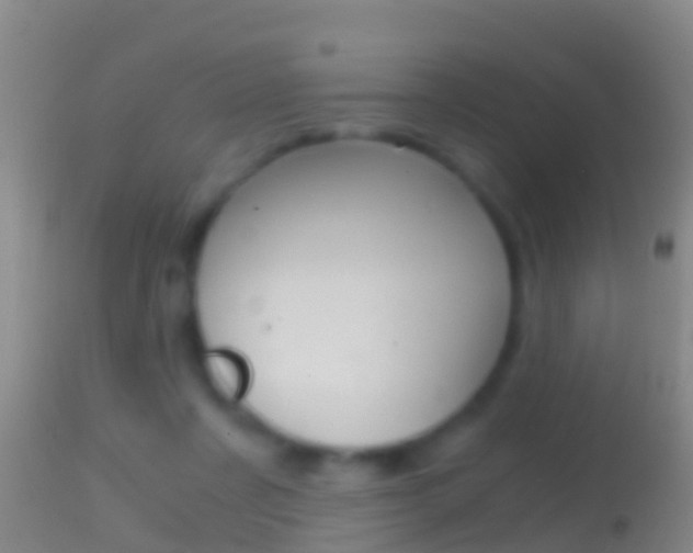X0000114390311200910161038