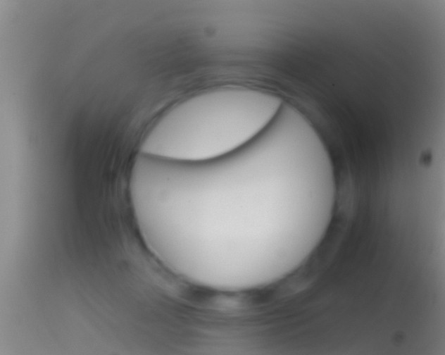 X0000114390314200910161038