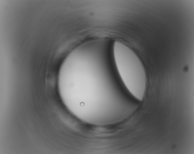 X0000114390315200910161038