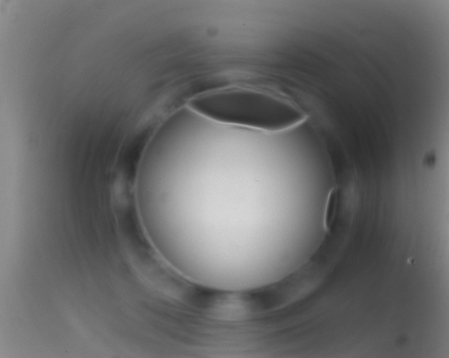X0000114390316200910161038