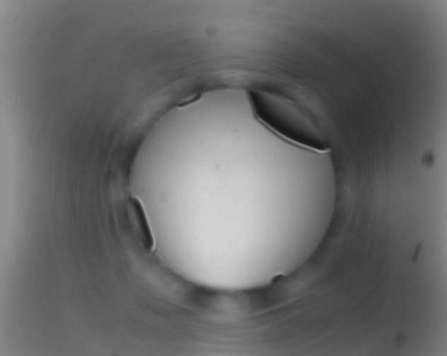 X0000114390317200910161038