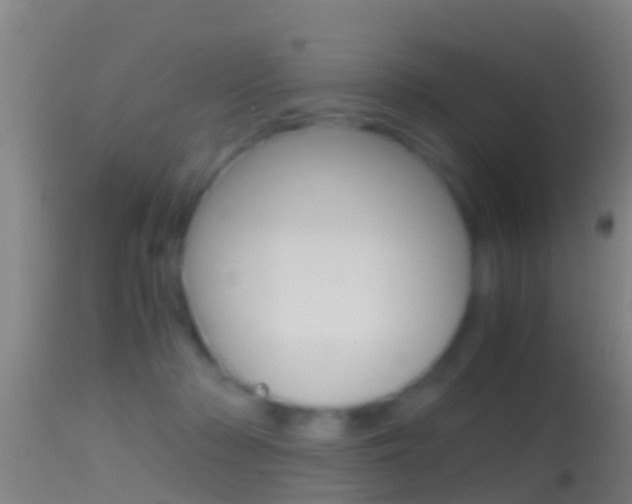 X0000114390318200910161038