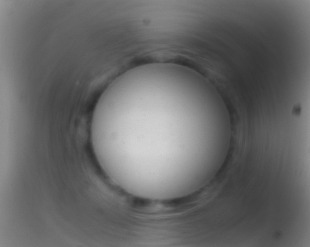 X0000114390319200910161038