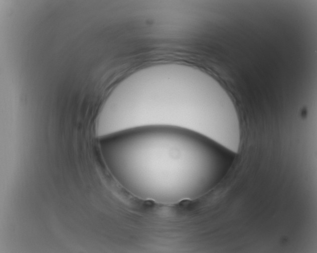 X0000114390325200910161038