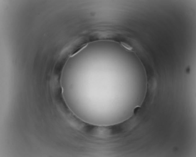 X0000114390327200910161038