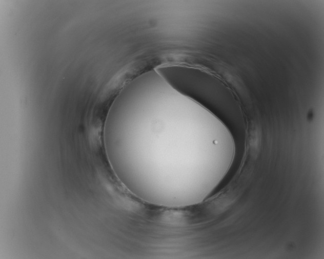X0000114390332200910161038