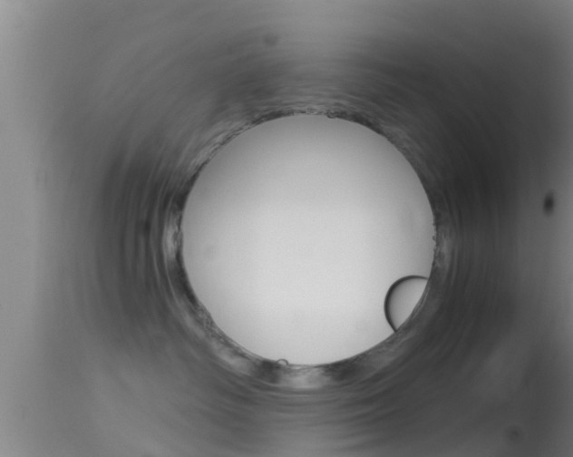 X0000114390334200910161038