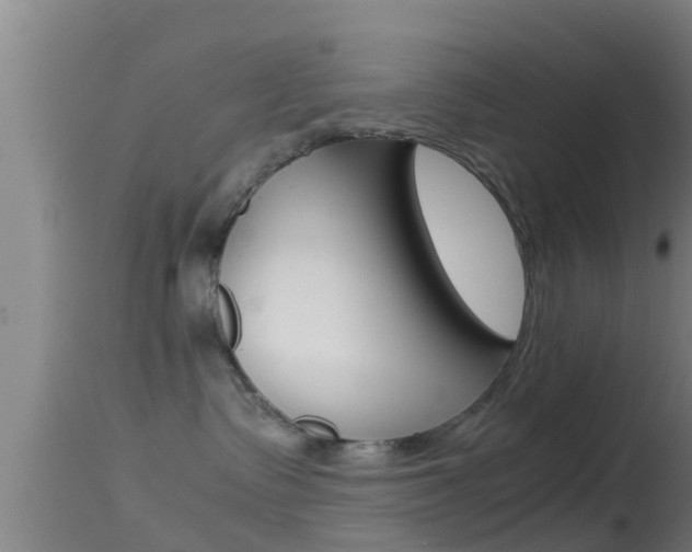 X0000114390335200910161038