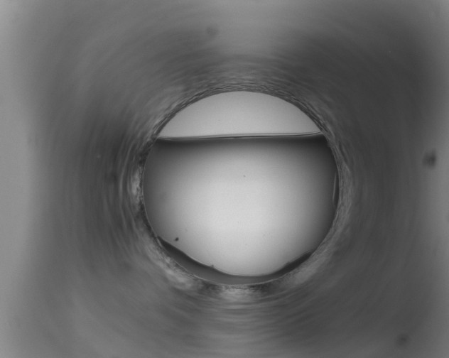 X0000114390336200910161038