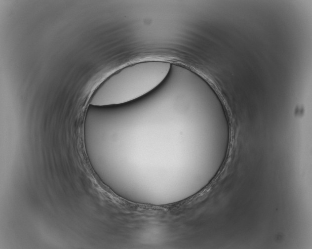 X0000114390337200910161037