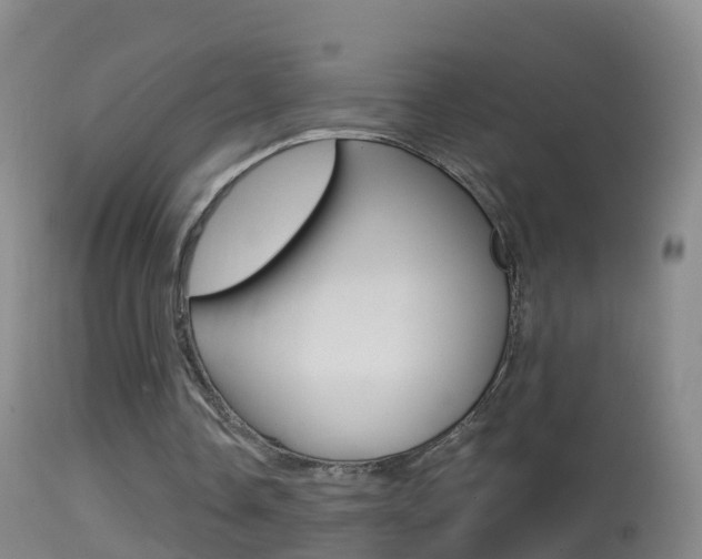 X0000114390338200910161037