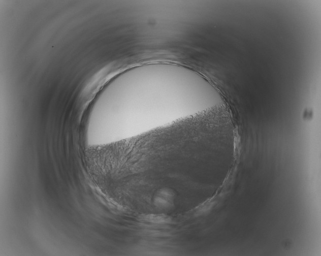 X0000114390339200910161037
