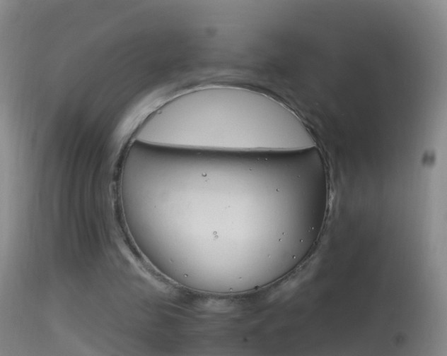 X0000114390341200910161037