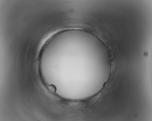 X0000114390342200910161037