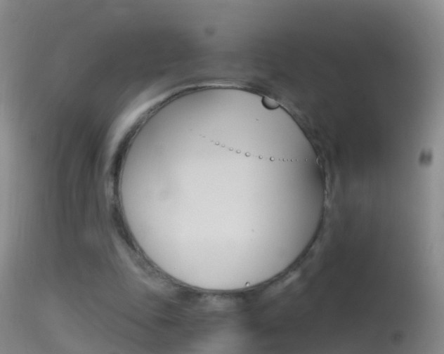 X0000114390343200910161037