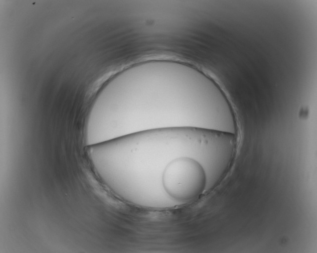 X0000114390345200910161037