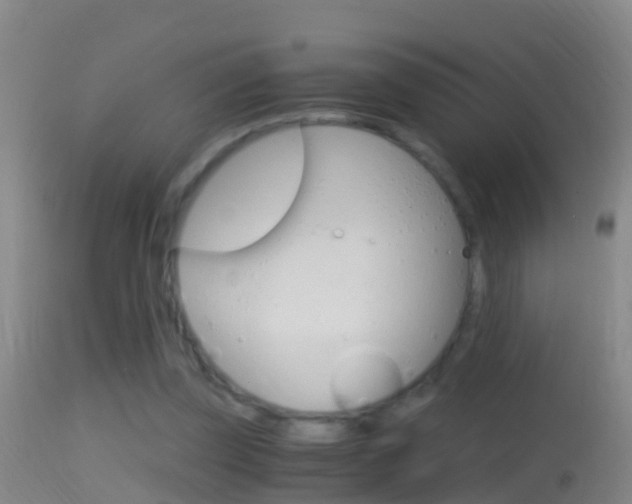 X0000114390347200910161037