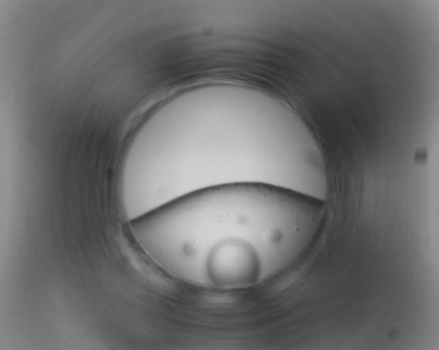 X0000114390349200910161037