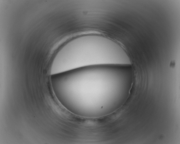 X0000114390350200910161037