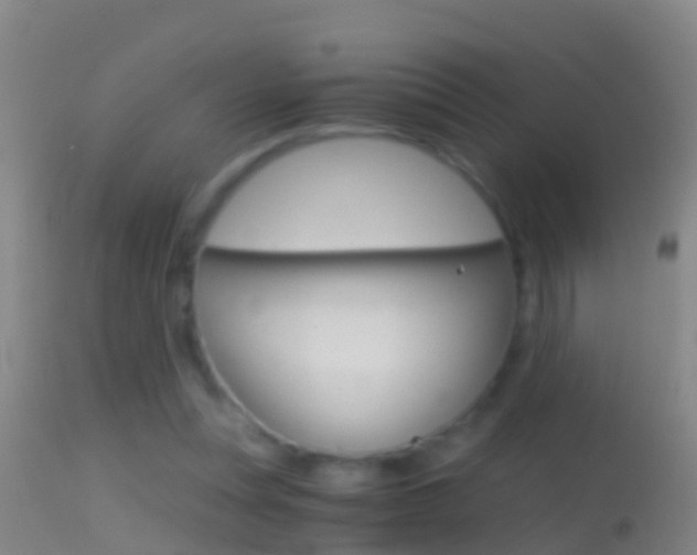 X0000114390351200910161037