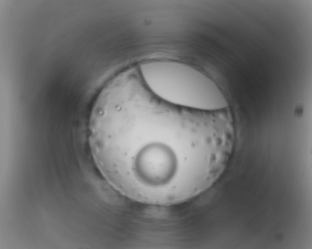 X0000114390354200910161037