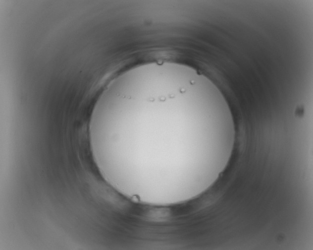 X0000114390355200910161037