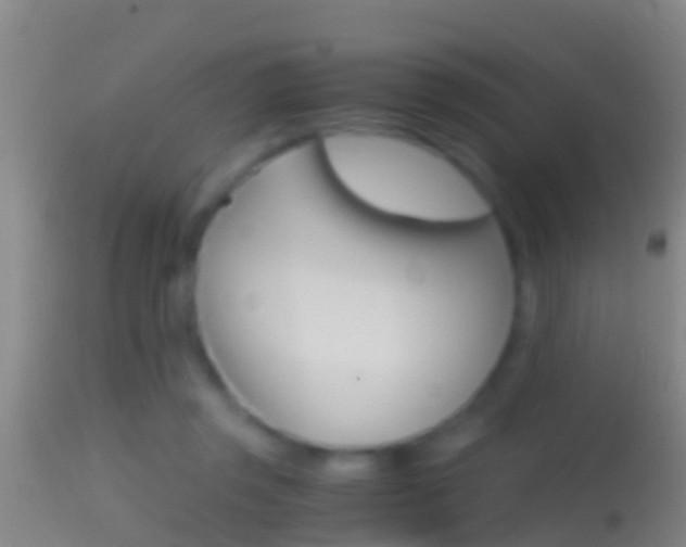 X0000114390357200910161037