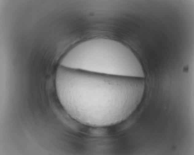 X0000114390359200910161037