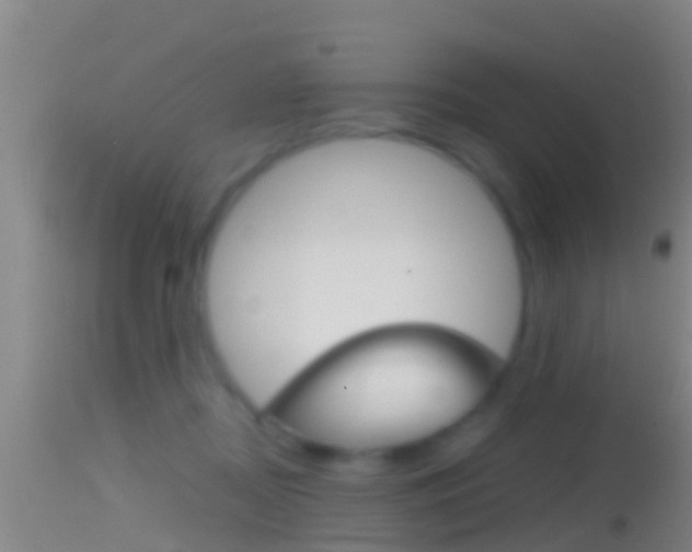 X0000114390362200910161037