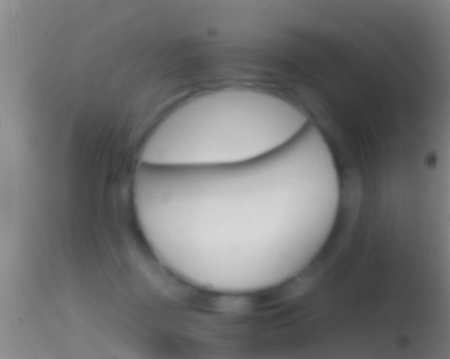 X0000114390363200910161037