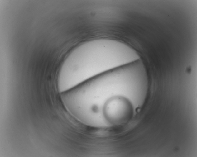 X0000114390366200910161038