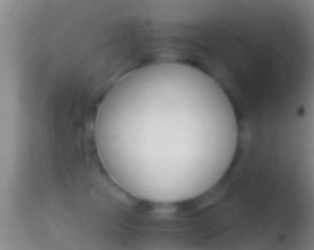 X0000114390369200910161038