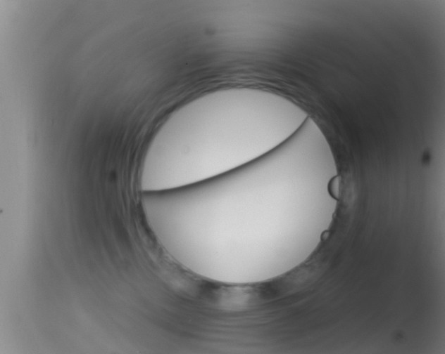 X0000114390378200910161038