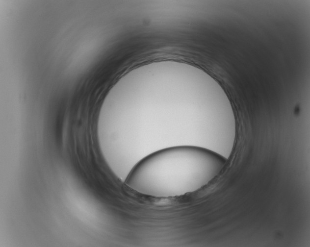 X0000114390382200910161038