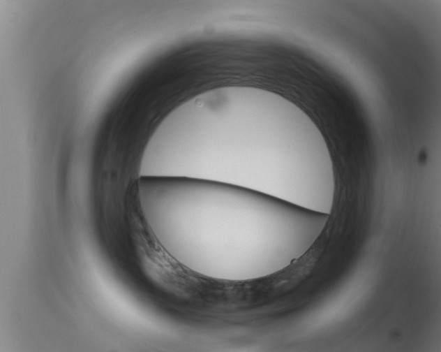 X0000114390383200910161038