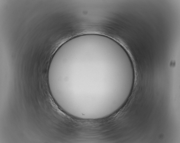 X0000114390385200910161037