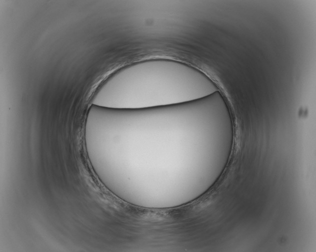 X0000114390386200910161037