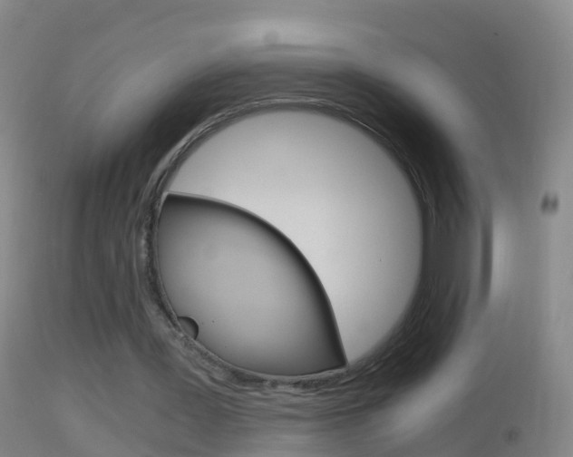 X0000114390387200910161037