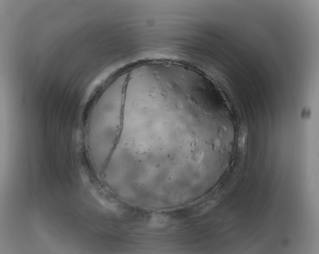 X0000114390388200910161037