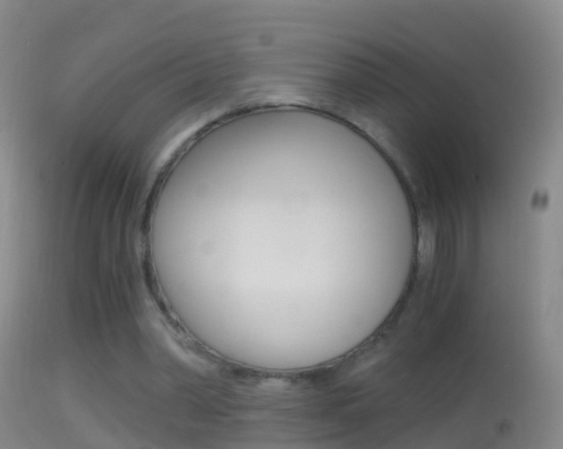 X0000114390390200910161037