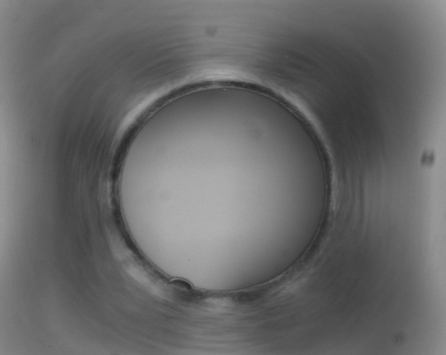 X0000114390391200910161037