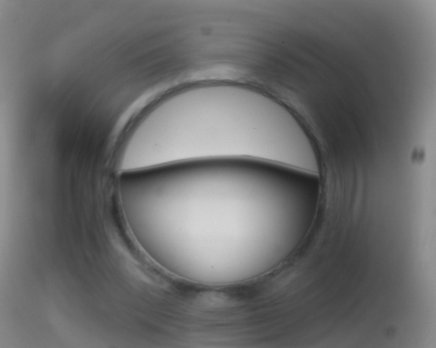 X0000114390392200910161037