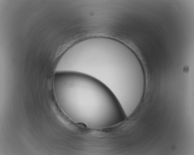 X0000114390393200910161037