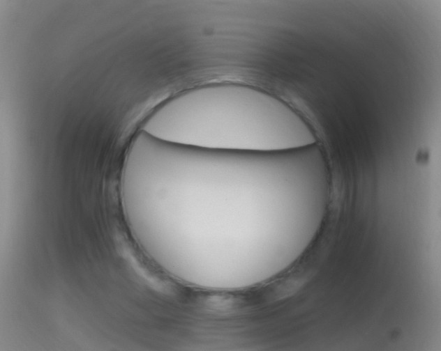 X0000114390394200910161037
