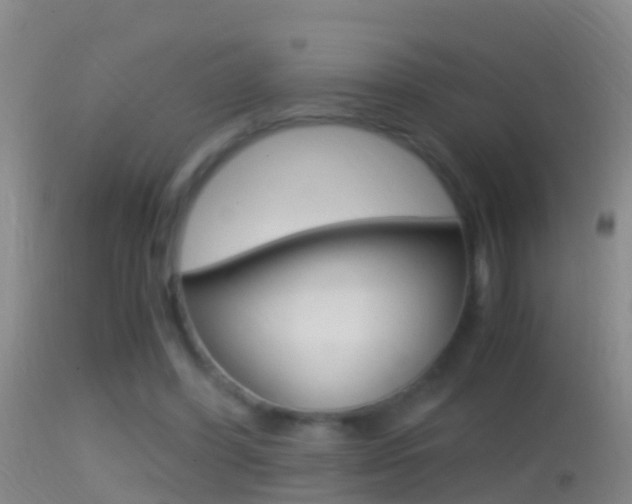 X0000114390396200910161037